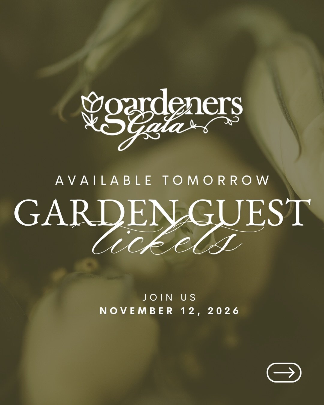 SET YOUR ALARM! Gardeners Gala tickets are live tomorrow at 10am CST!

Join us to celebrate and reflect on the impact we&rsquo;ve had so far, and hear special updates and goals for the future of Evermore Blooms!
 🌱Garden Guest Tickets: $125/seat
🌱C
