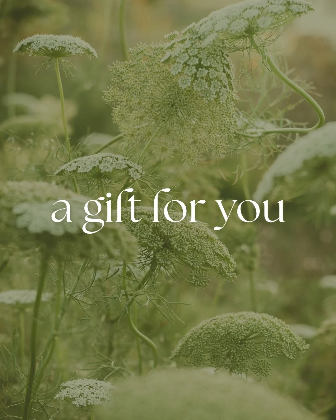 It&rsquo;s the last day of the month, and gosh, we have so much to be grateful for. 🥹 From Table Hosts Sponsorships, to Gala tickets, to coming to SWAF, to shopping the drop, you showed up for us this month (as you always do), and we can&rsquo;t eve