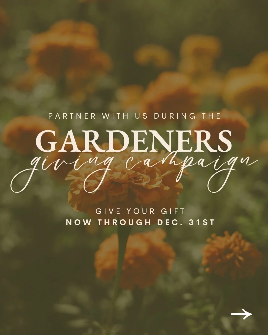 🪏🪴Let&rsquo;s get gardening! Here&rsquo;s ALL you need to know about the Gardeners Giving Campaign!

We have three primary goals for this campaign:
Goal 1: $1,000 in Recurring, Monthly Donations
Goal 2: $20,000 in Total Donations
Goal 3: Nationwide