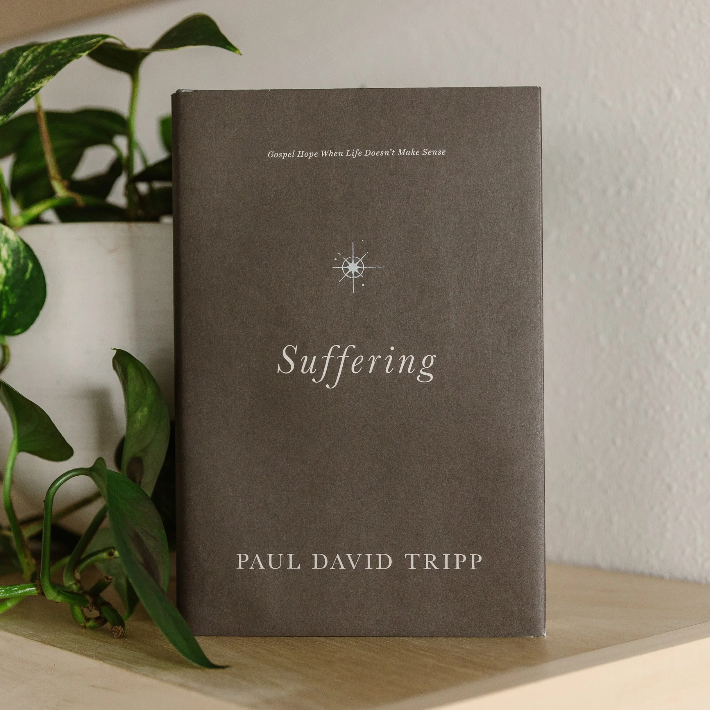 Spring2026_-155.jpg (Copy)