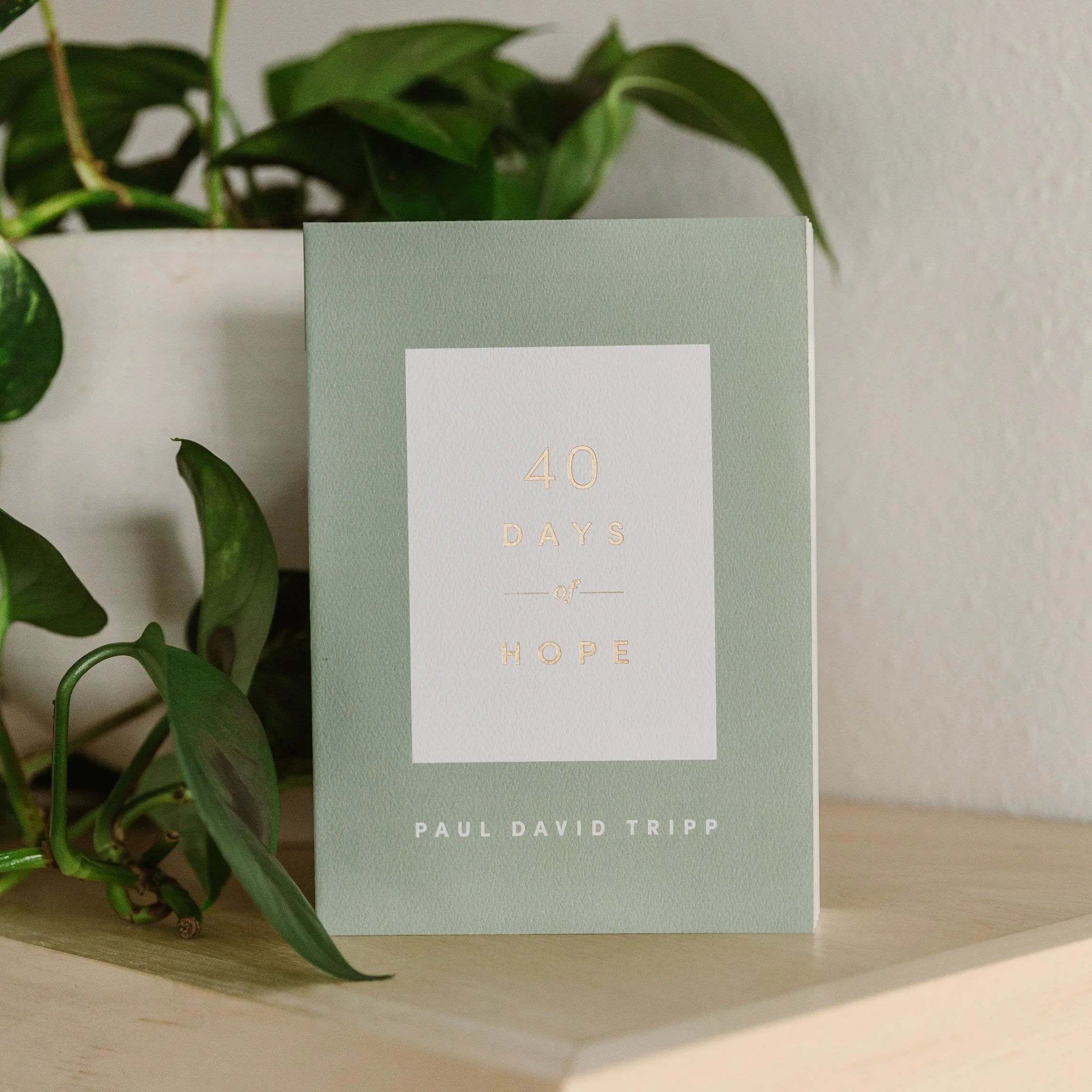 Spring2026_-151.jpg (Copy)