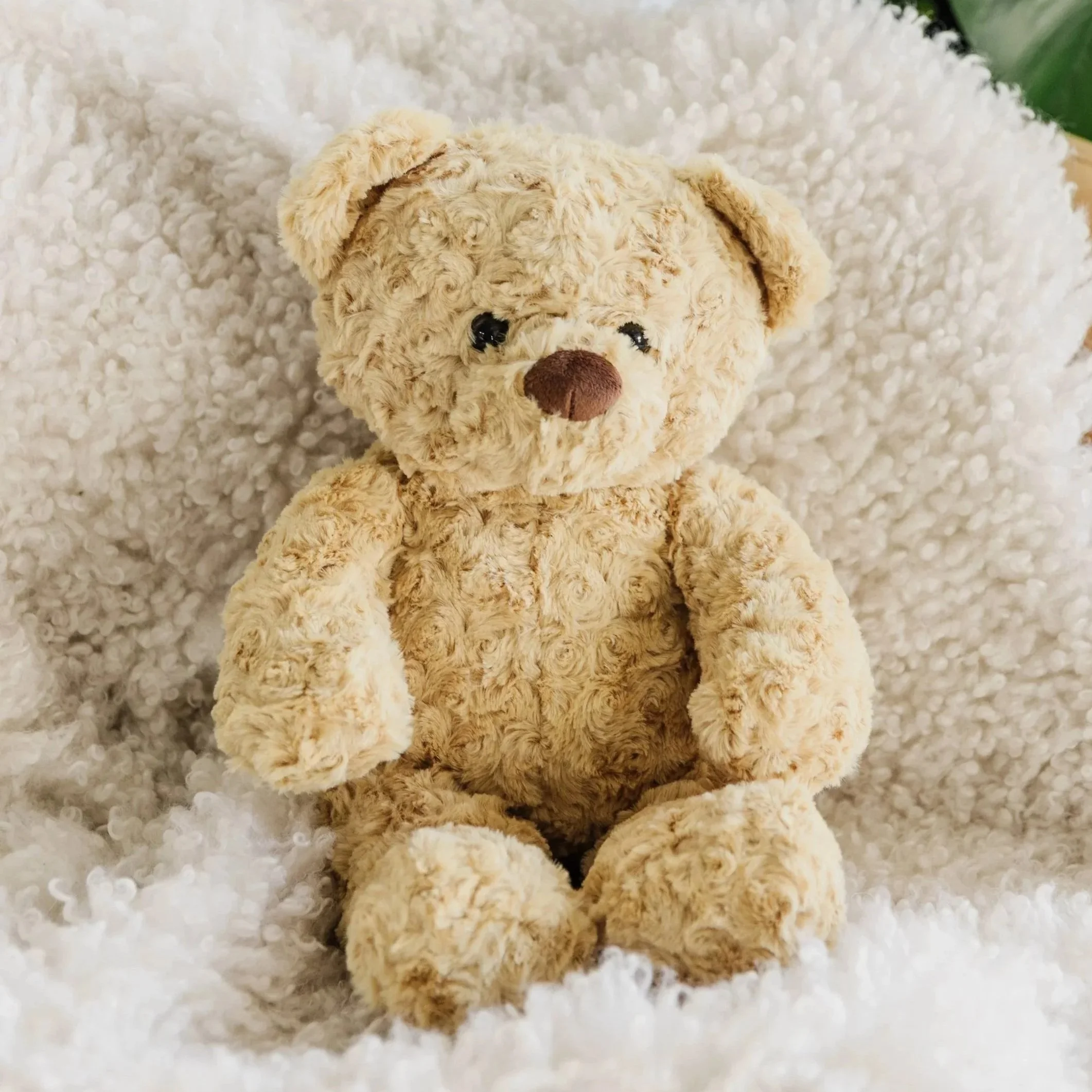 10-16-25 Evermore 16 - Nicole Marie Photography.jpg