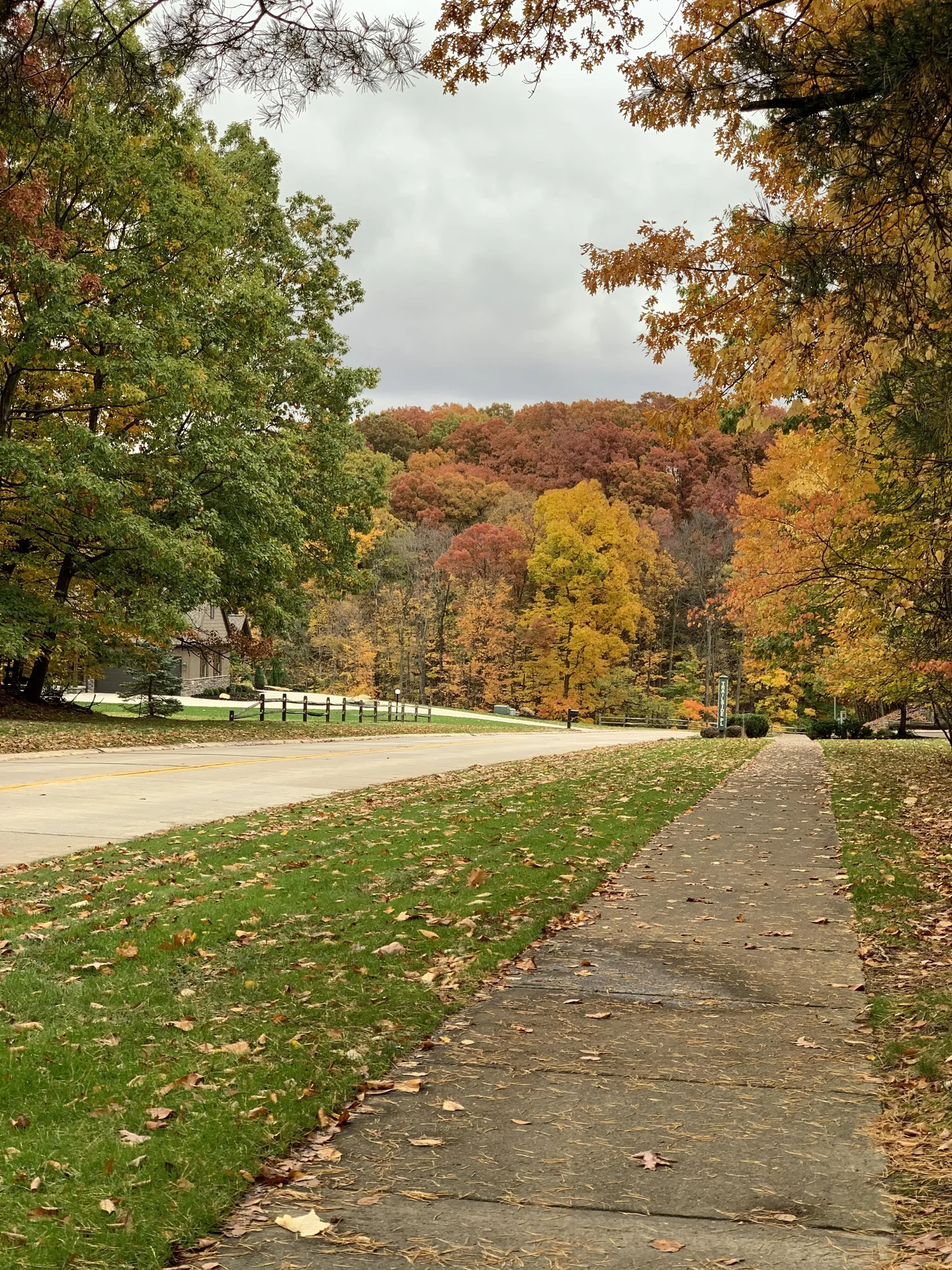 HOA Board — Ledgewood