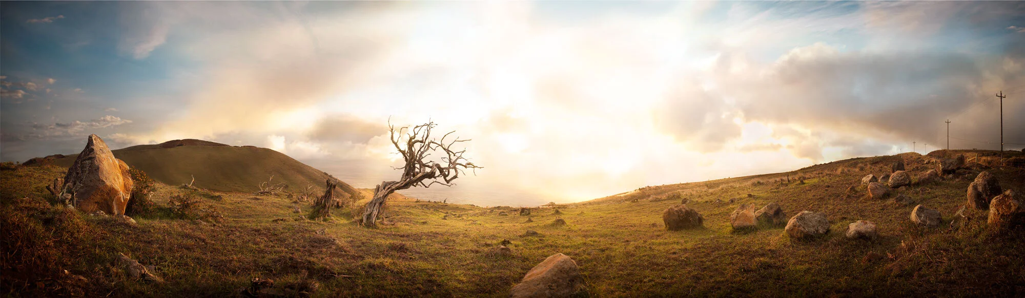 An other-wordly  landscape featuring a grassy hillside with scattered rocks and a barren tree, under a cloudy sky at sunset on the Big island in Hawai'i.