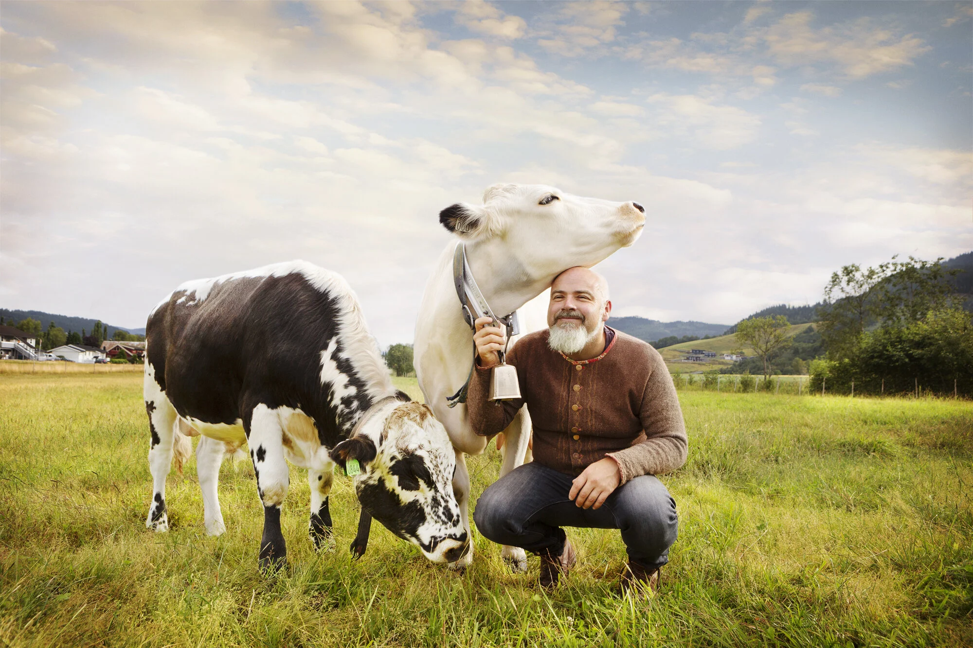 A middle aged farmer with a beard kneeling on grass, holding a cow's collar, with two cows: a black and white calf grazing and a white adult cow leaning its head on the man's is in a green field under a partly cloudy sky with distant hills in Norway.