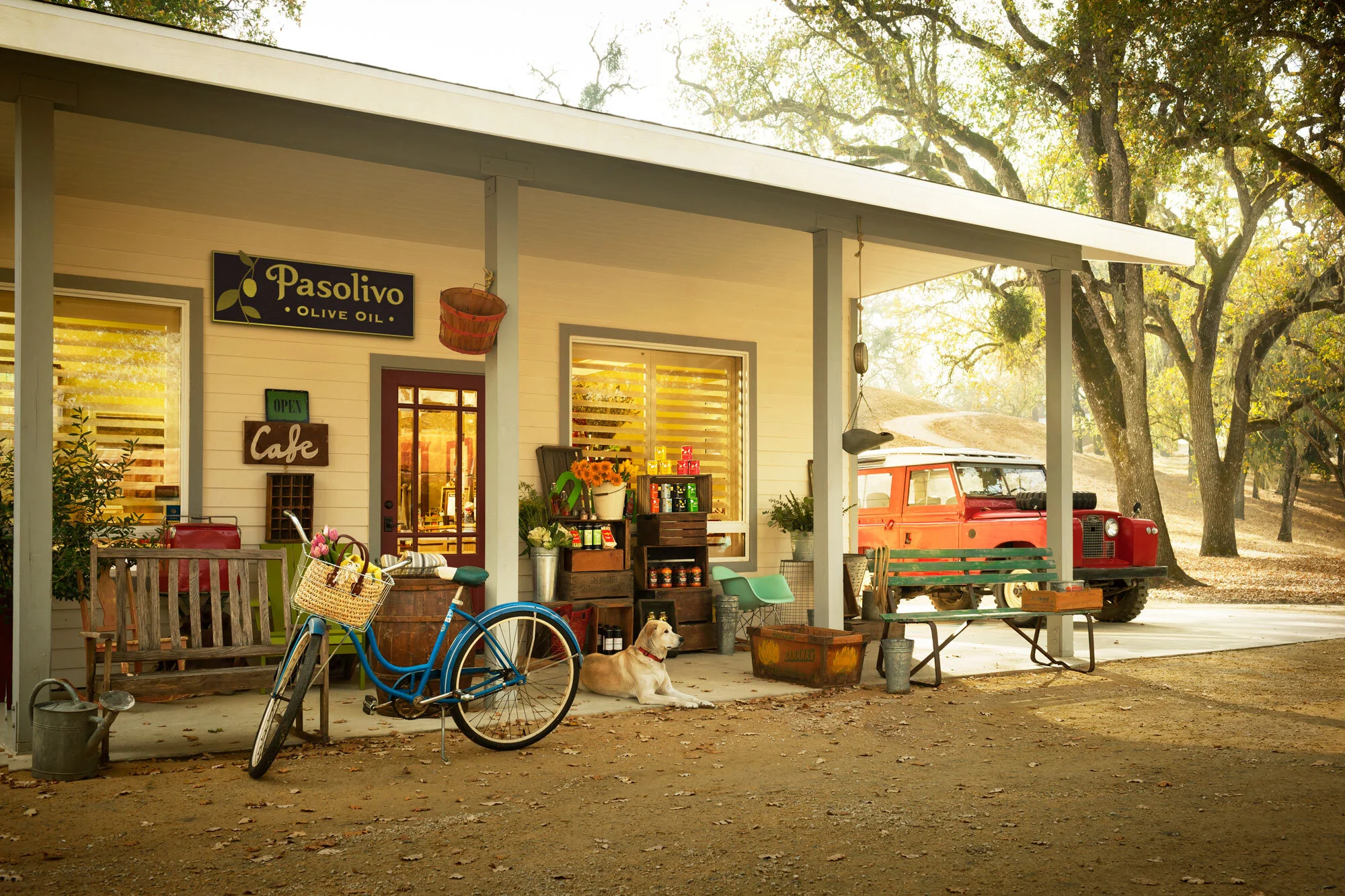 A cozy country shopfront with a sign 'Pasolivo Olive Oil' and 'Cafe' sign, a blue bicycle with a basket, a yellow dog lying on the ground, outdoor furniture, an old vintage red truck in a rural setting with trees and autumn leaves in Paso Robles, CA.