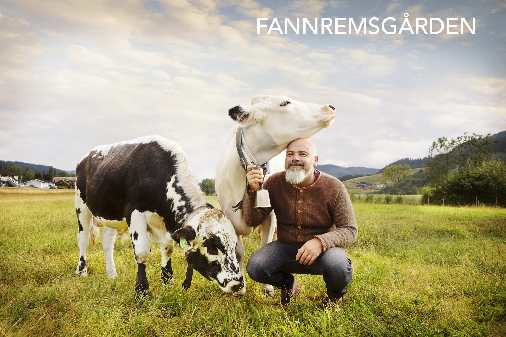 
Norwegian farmer with beard kneels in green field with two cows, one black and white and one white, and smiles. The cows are close to him, one with its head resting on his shoulder, and the other grazing. The background shows a rural landscape at Fa