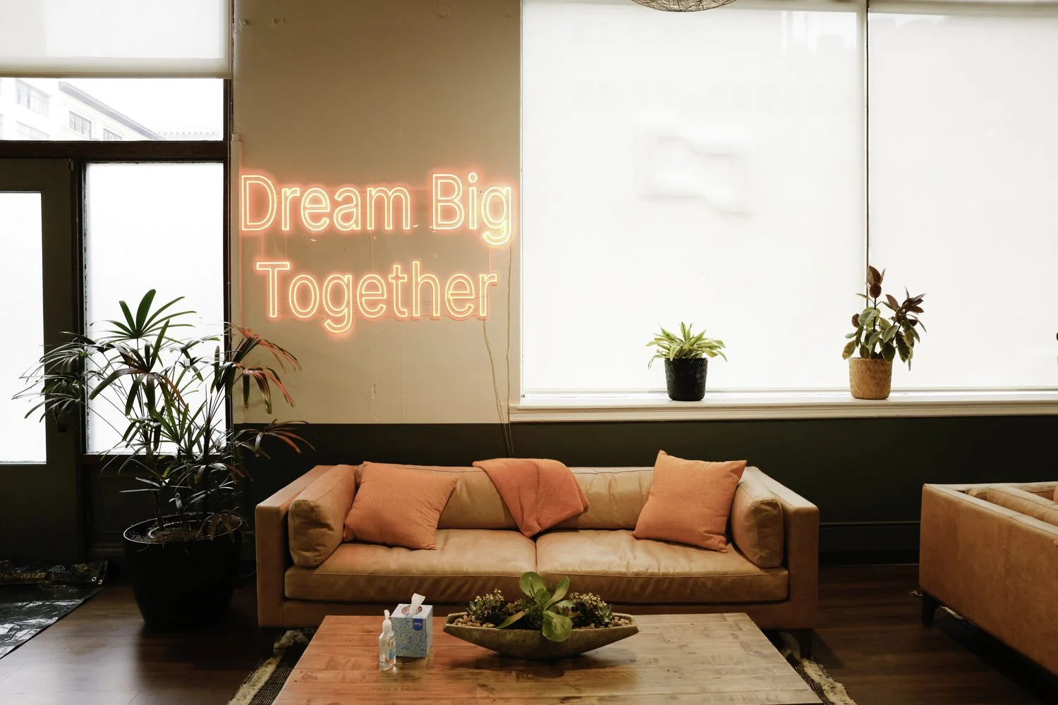 Modern living room with a neon sign that says 'Dream Big Together' on the wall, a pink sofa with matching pillows, a large window with white blinds, several potted plants, a wooden coffee table with a decorative bowl, bottles of hand sanitizer and ti