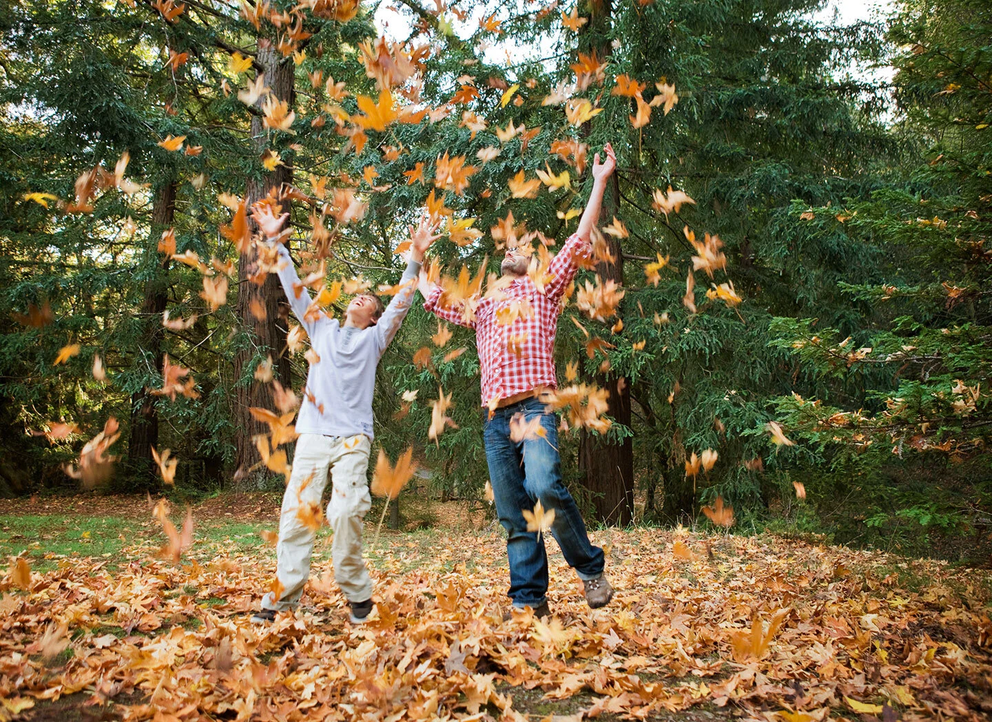 A white father and a son playing in a park during autumn, throwing fallen leaves into the air with trees and foliage in the background in Marin, CA.