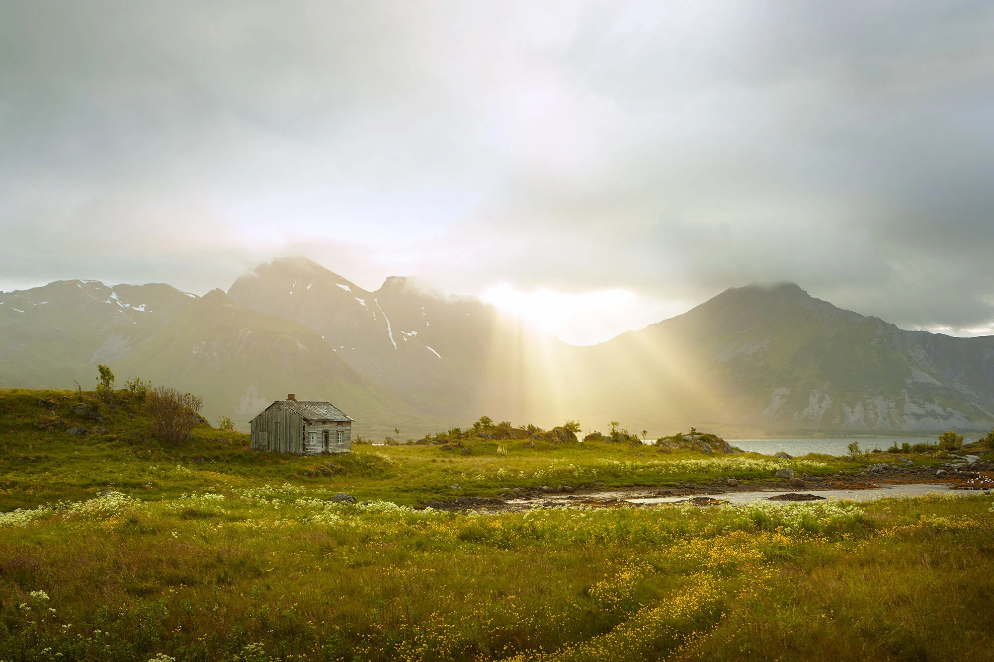 Rural landscape with an old wooden house, green fields with wildflowers, a mountain range with patches of snow, and sunlight breaking through cloud cover in Lofoten, Norway.