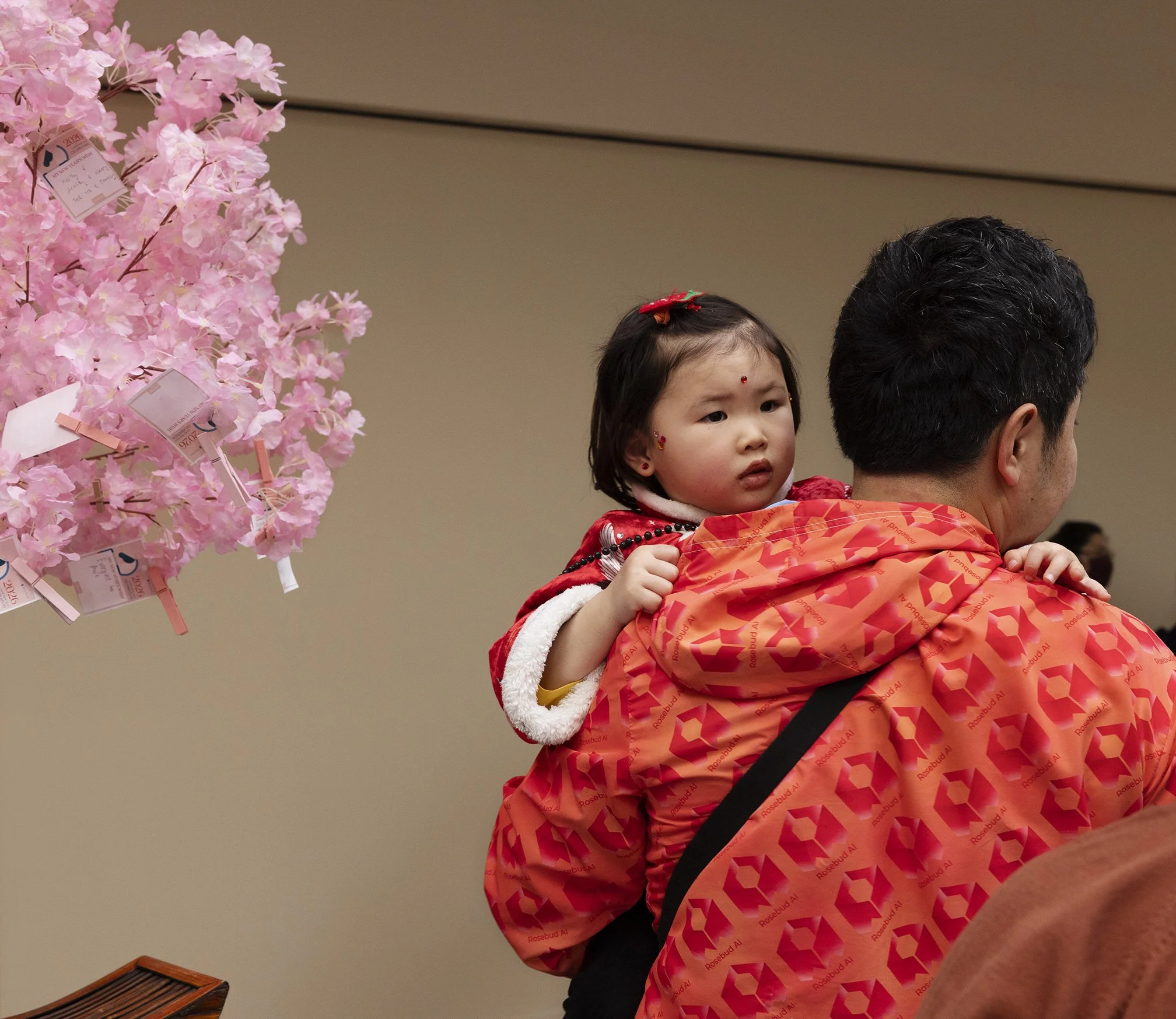 Man holding his daughter  in traditional Chinese jacket next to a cherry blossom tree with small paper notes with wishes on them for the Lunar Year celebration in San Francisco, CA.