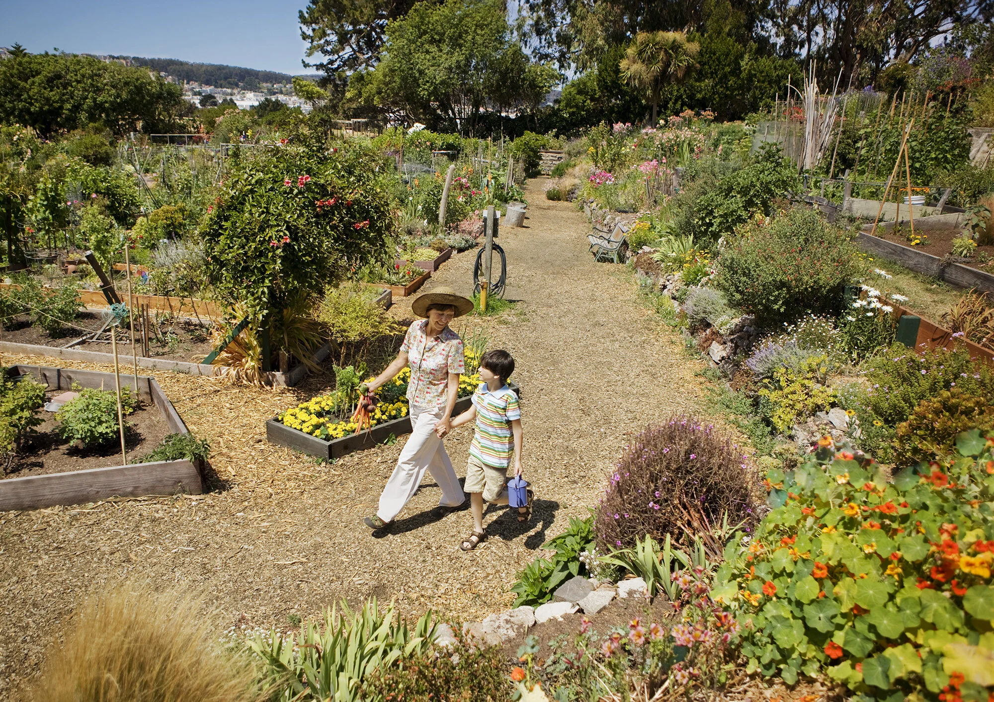 A white grandmother and grandson walking hand in hand through a community garden with colorful flowers and vegetables in planters on a sunny day in San Francisco, CA.