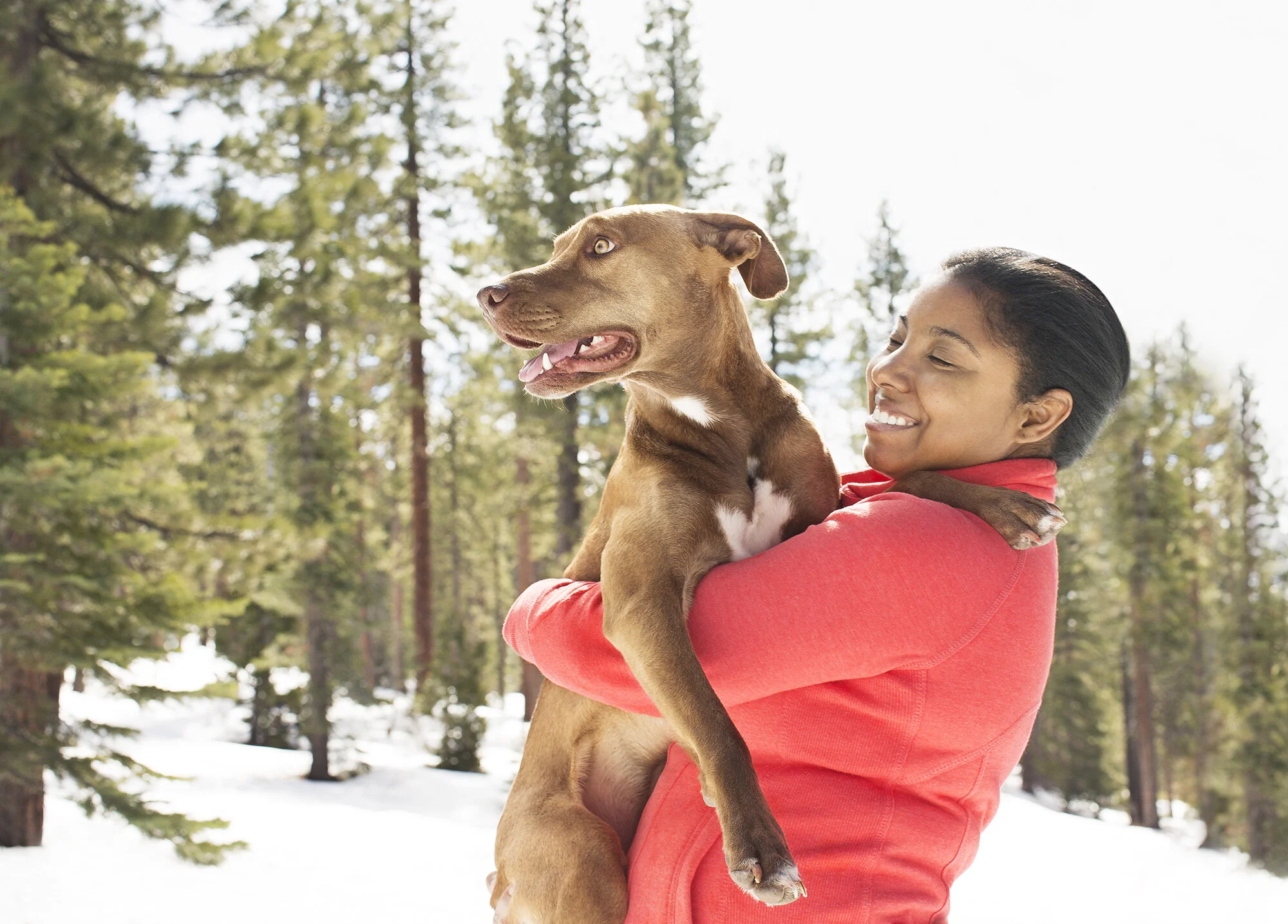 Black woman in a red jacket smiling while holding a brown dog with a white chest in a snowy, forested area in Lake Tahoe, CA.