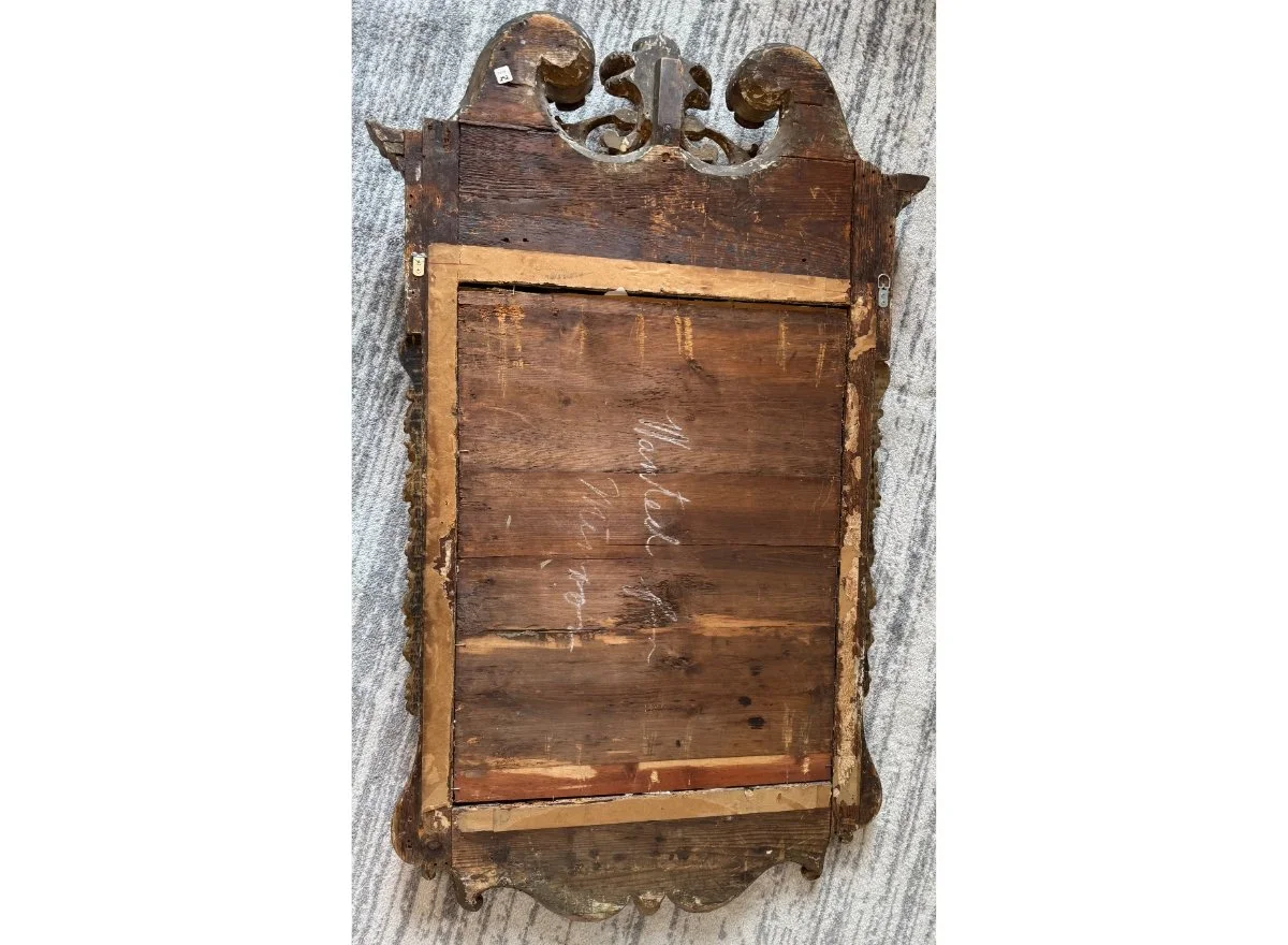 Back (1200 x 880 px).jpg