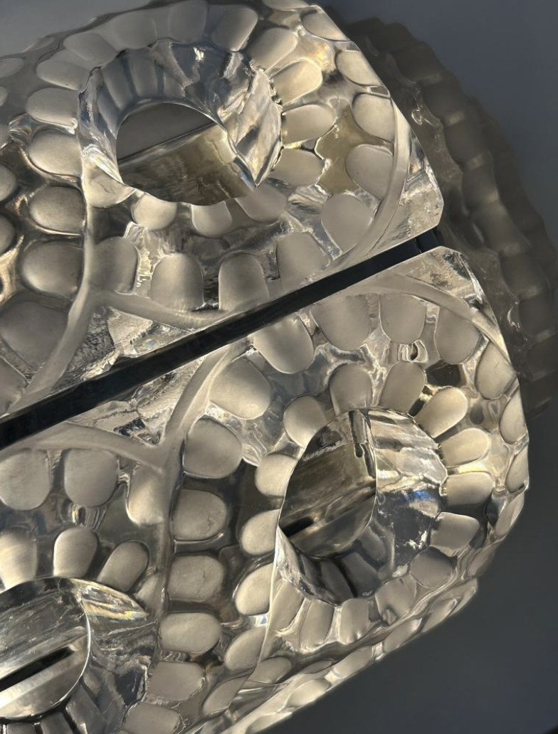 Screen Shot 2026-01-20 at 12.15.35 PM.png