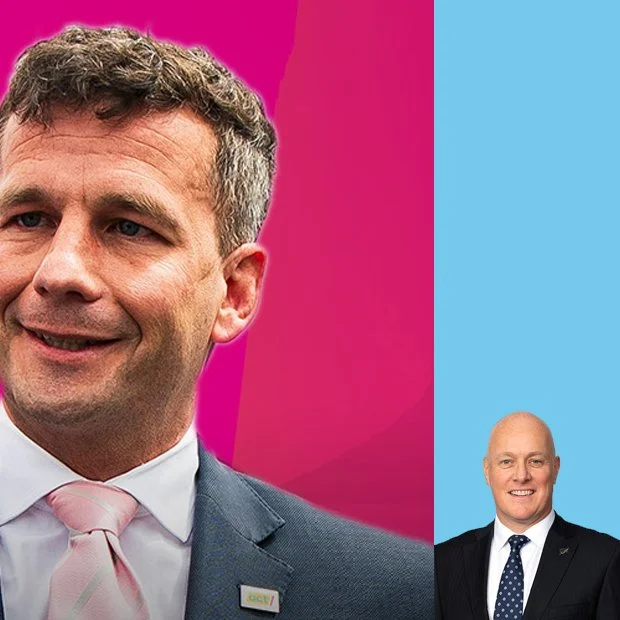 ACT came to government to shrink the state. Instead it shrank National's polling.