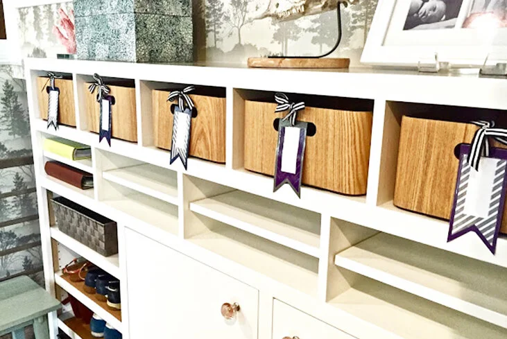 New Baby, New Space…New Storage Then Too, Right?!