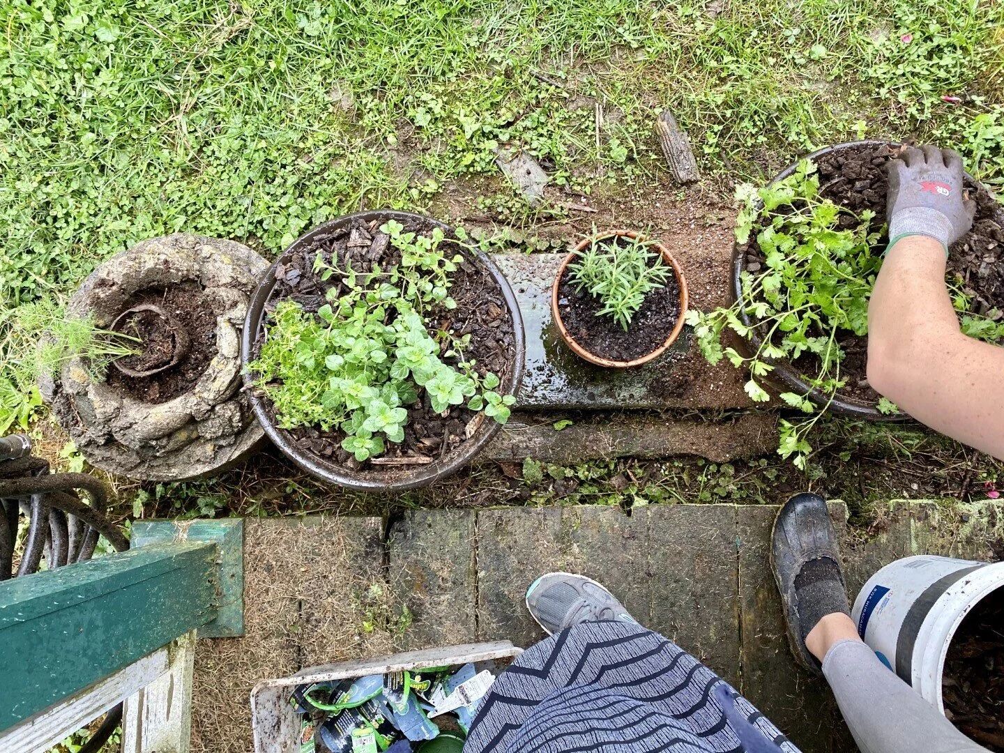 IMG_8571 (Large).JPG