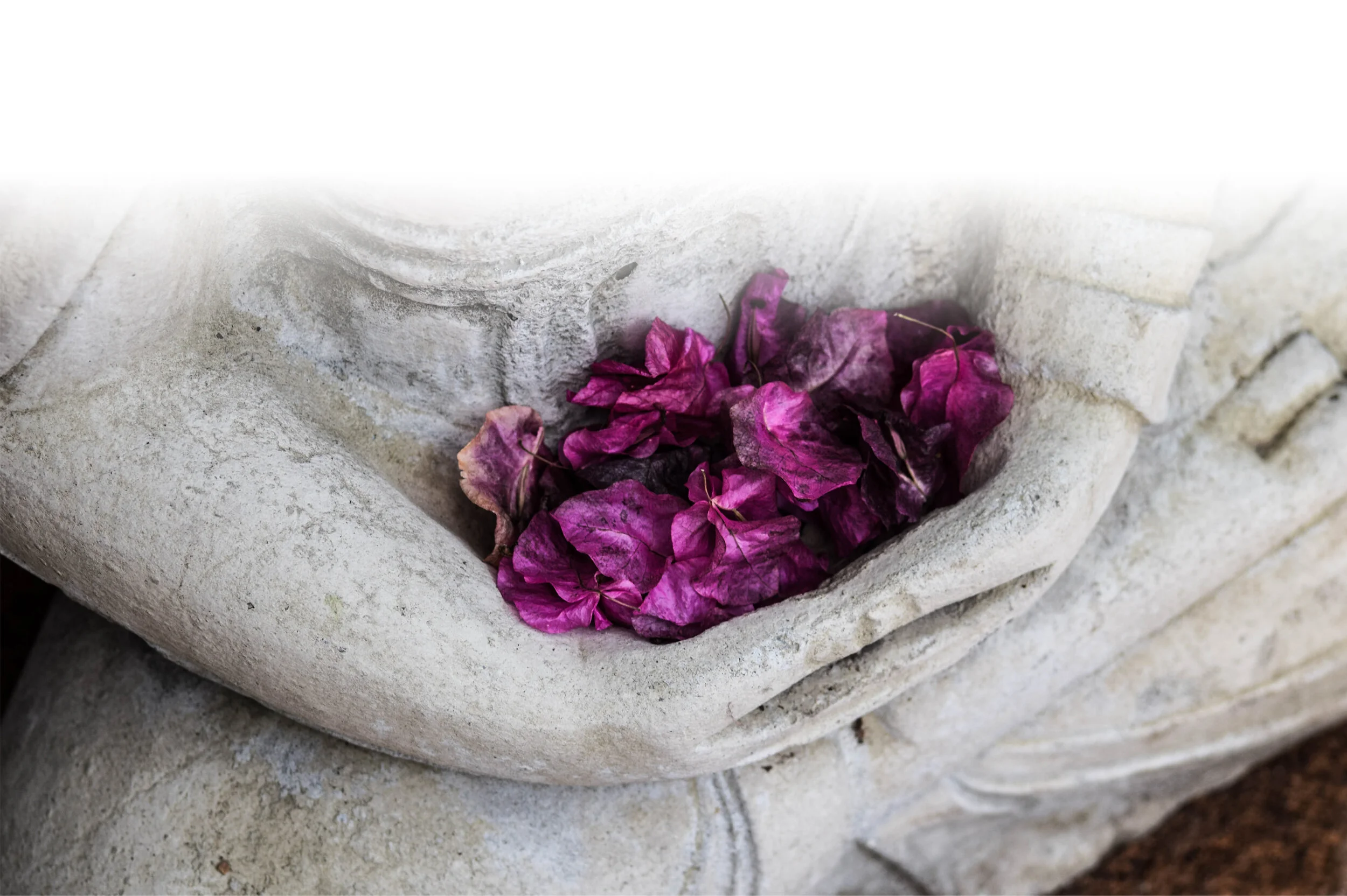 holistic pelvic care™ — Zoe Lotus Healing Arts