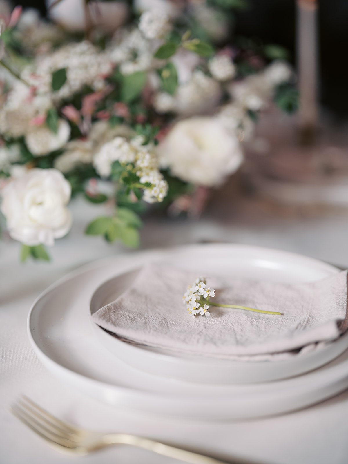 Rose-Branding-249.jpg