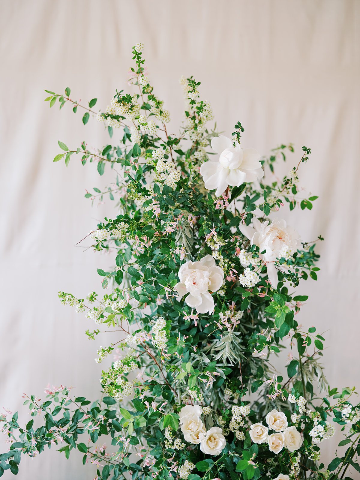 Rose-Branding-6.jpg