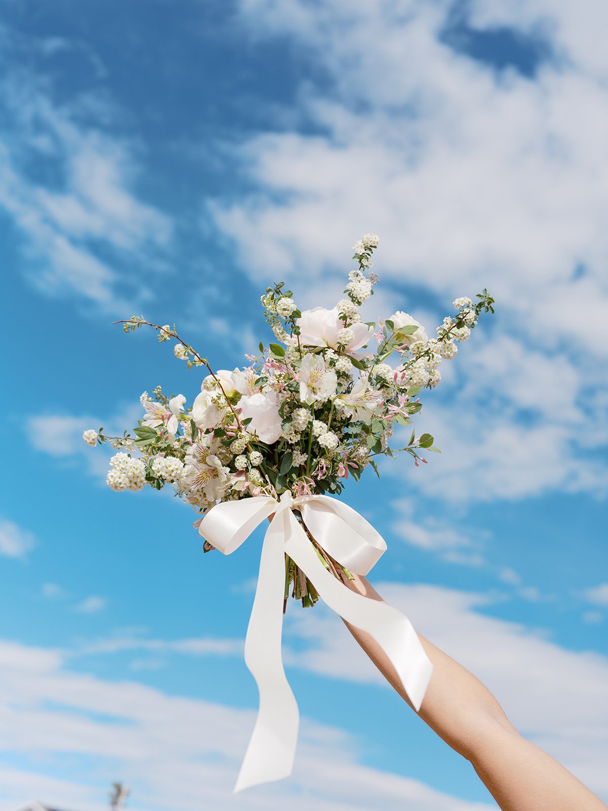 Rose-Branding-92.jpg