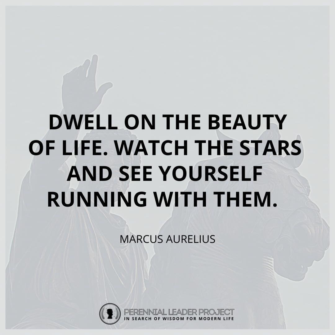 &quot;Dwell on the beauty of #life. Watch the stars and see yourself running with them.&quot; - Marcus Aurelius

 #philosophy #stoic #stoicism #wisdom #think #inspiration #life #success #motivationoftheday #successtips #spreadpositivity #inspiration 