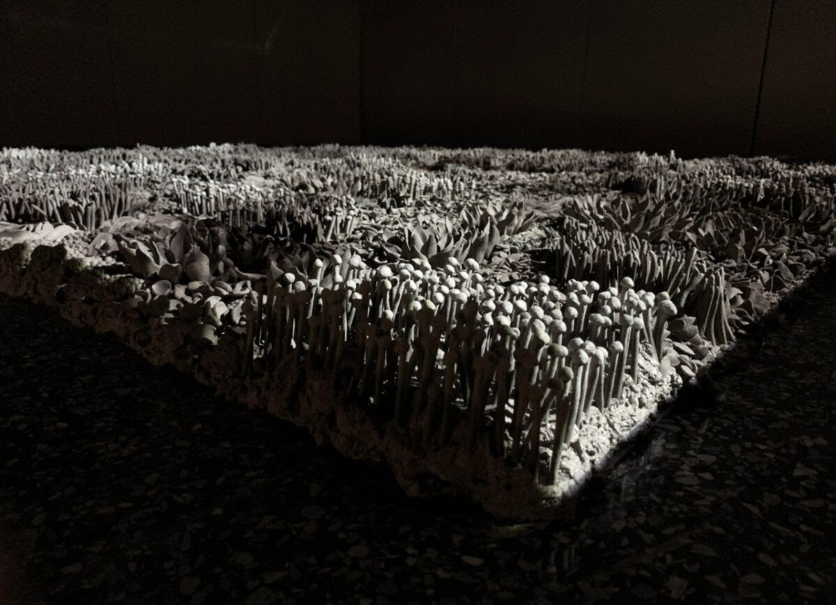 Rachel Eng — The Center for Emerging Visual Artists