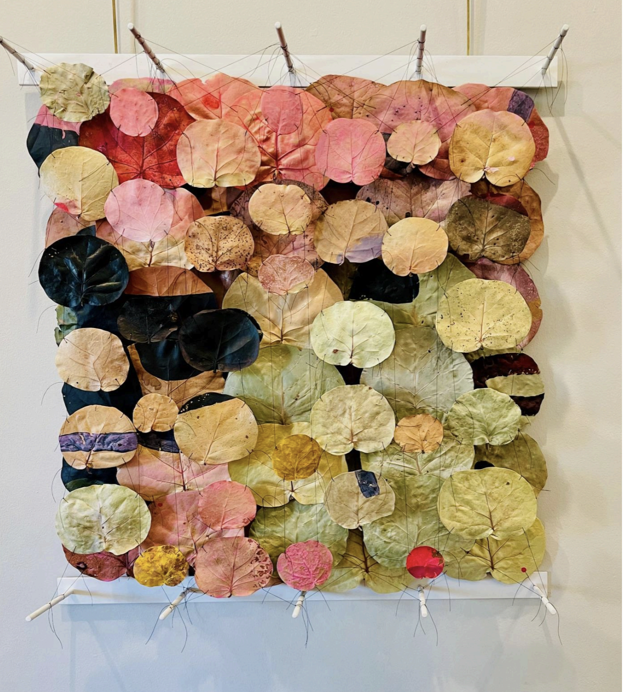 Vivian Leher, Lo Verde