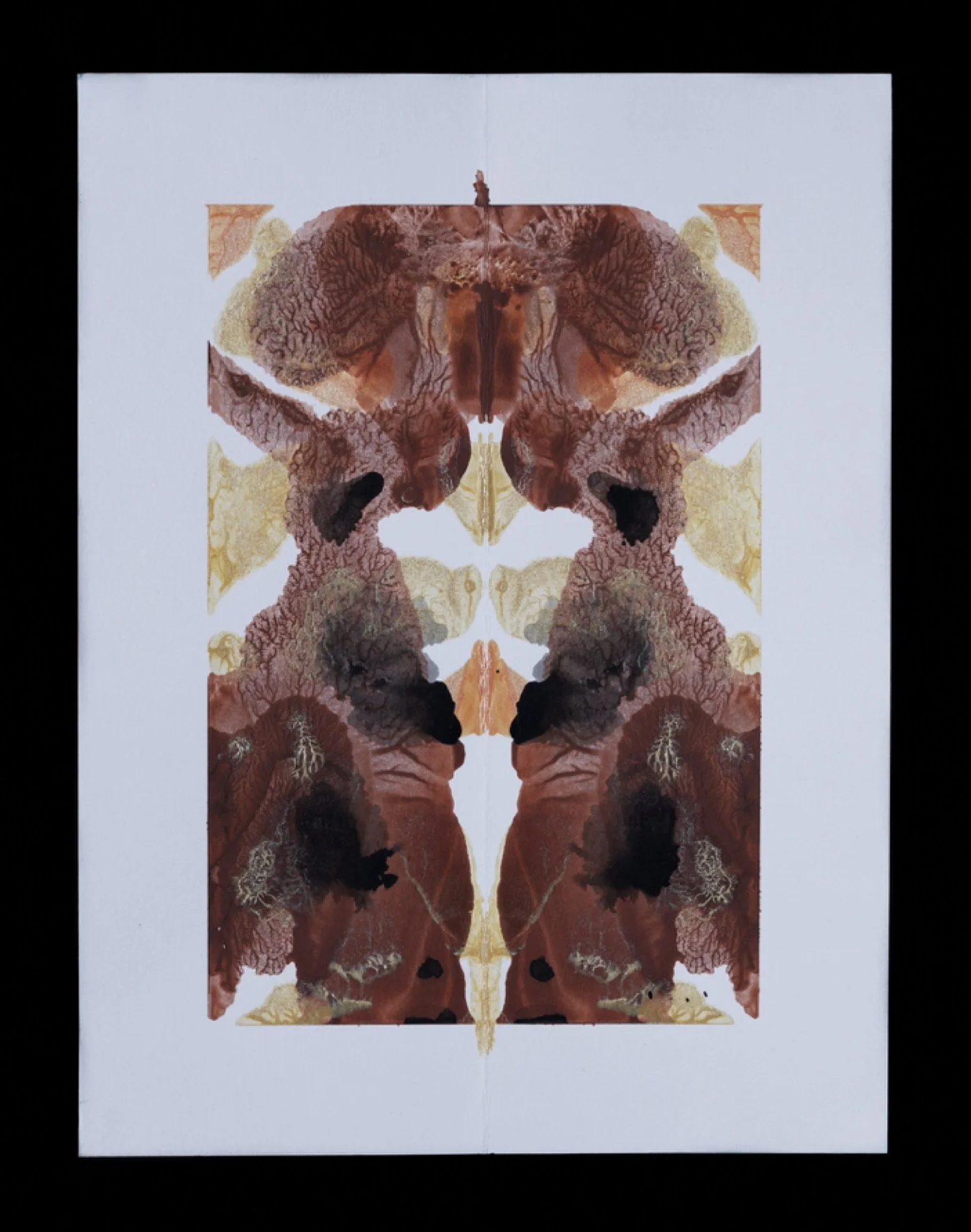 The Red Queen, 2025.jpg