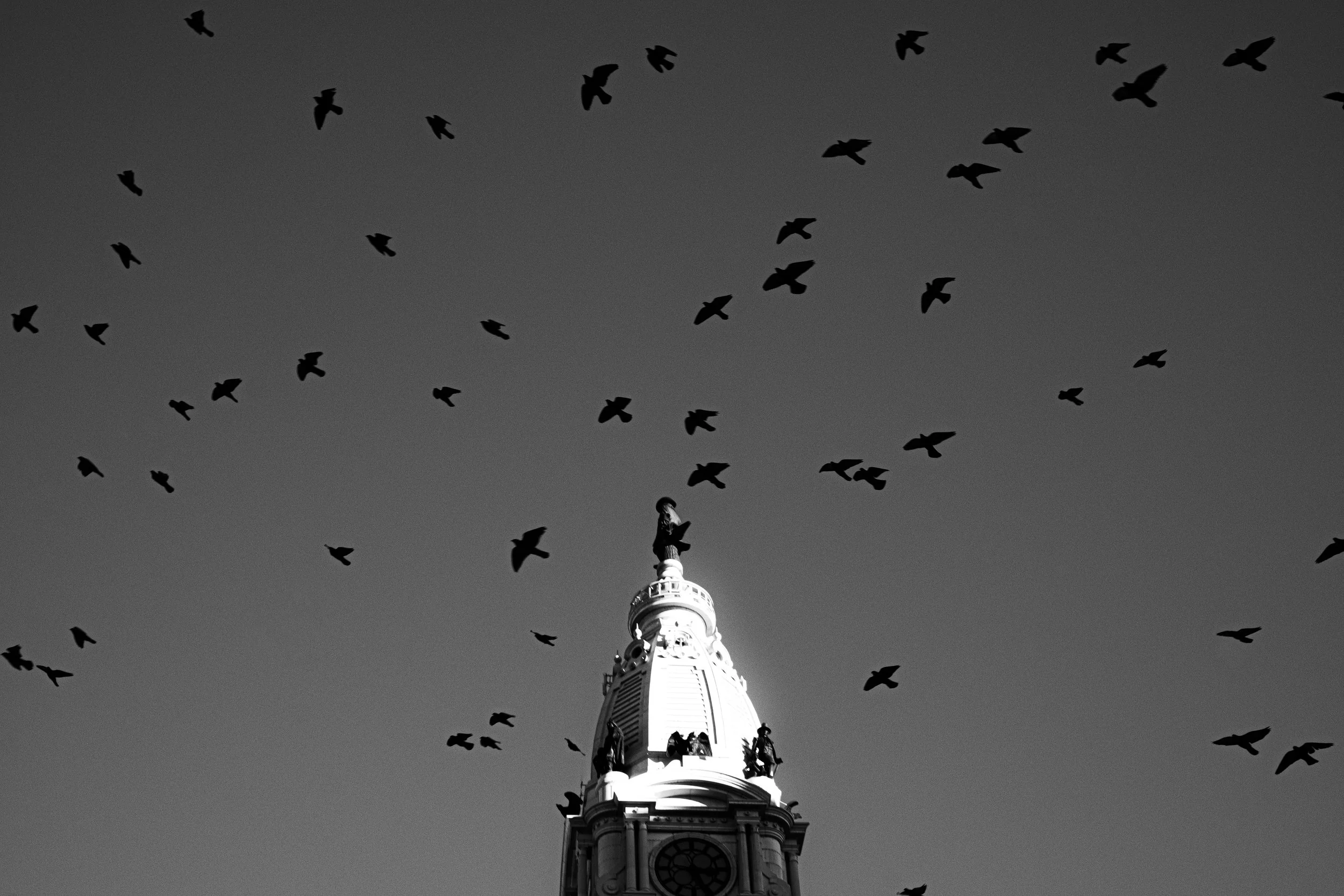 Sammy Rivera, Pigeons Above City Hall