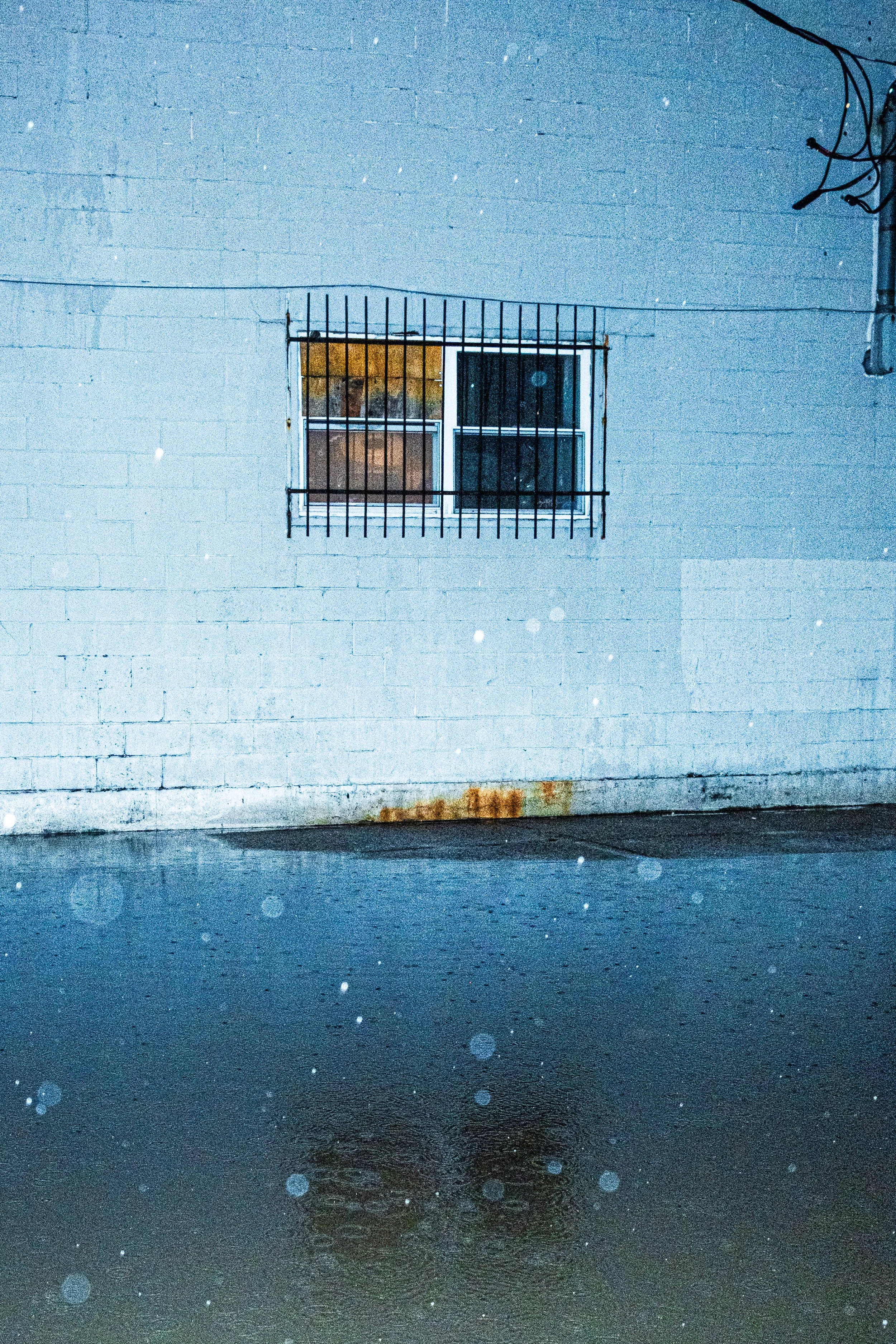 Sammy Rivera, Blue Flood Wall
