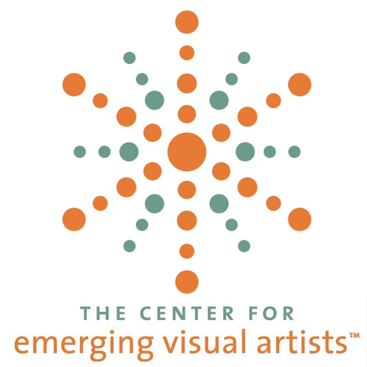 The Center for Emerging Visual Artists