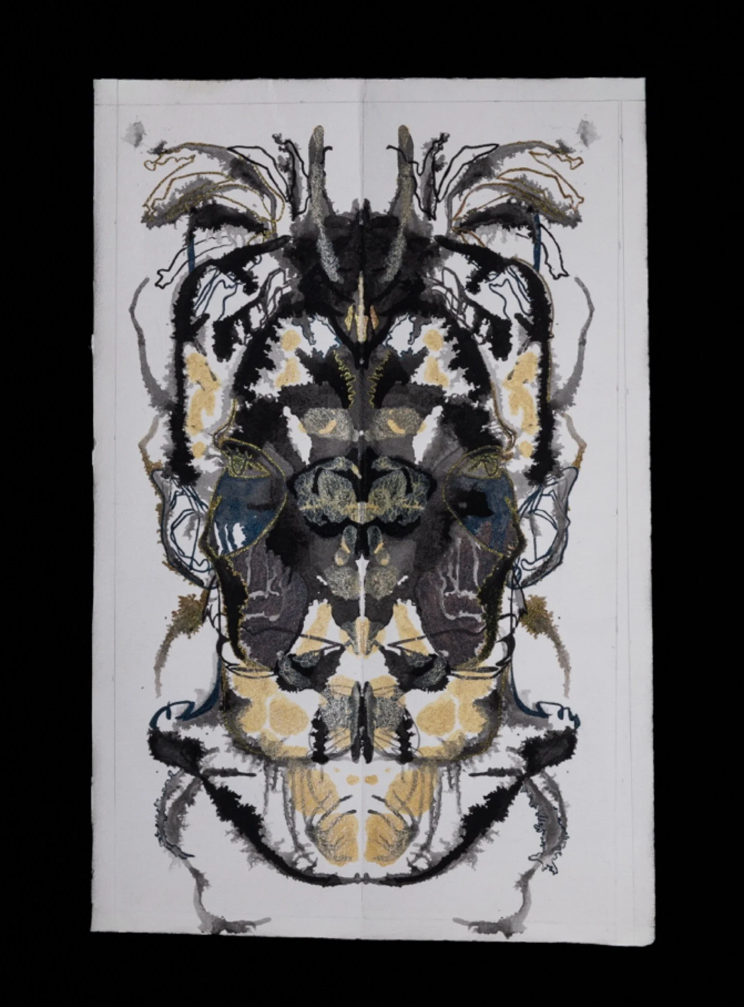 Alana Walters, Coleoptera