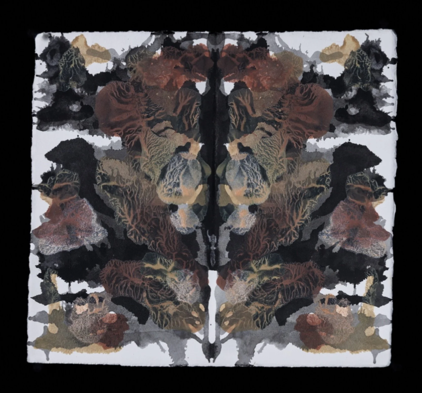 Alana Walters, Claymore