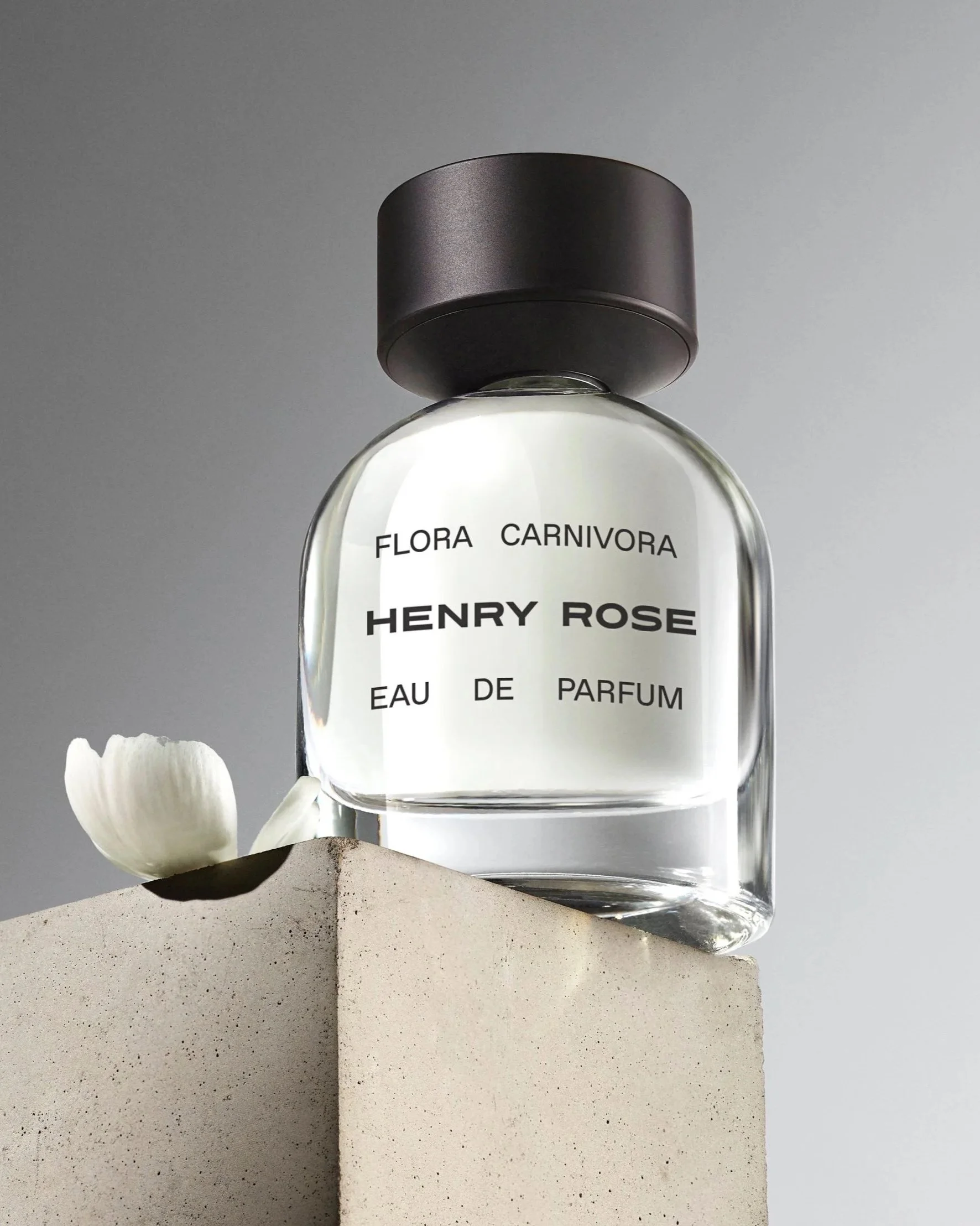 %252B%252B%252BFragrance_Carnivora_Exploration_V6_147924_Focus_Comp_R3%2Bcopy.jpg