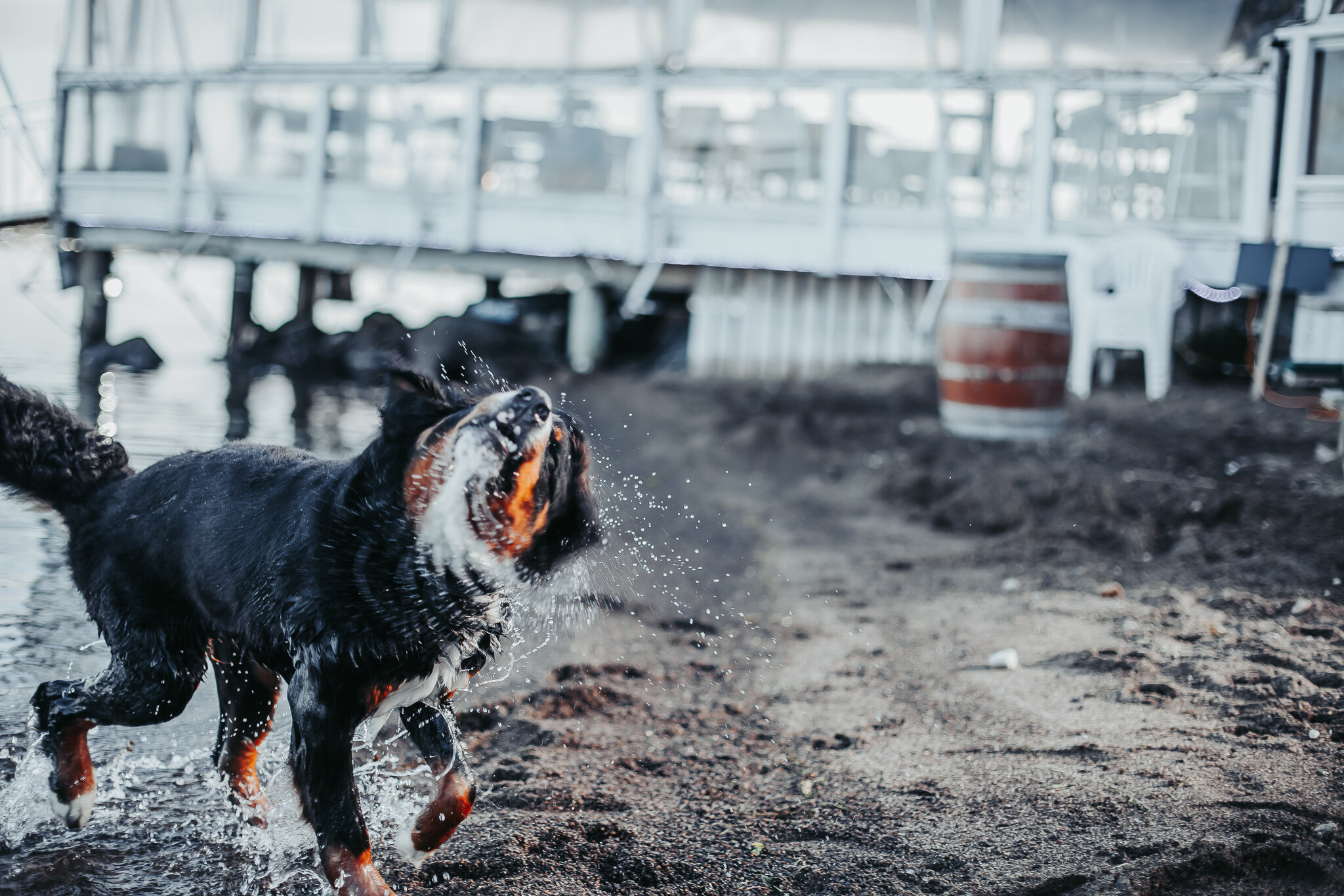 Morning swim at 2mile 2good