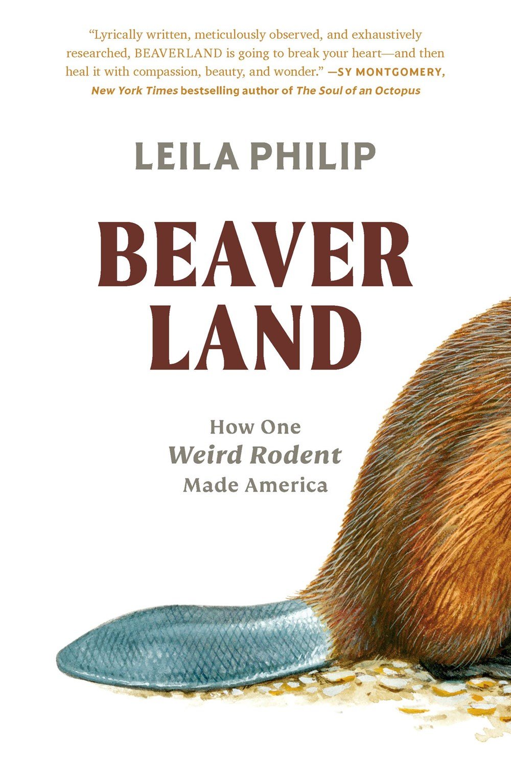 Book cover. The back end of an illustrated beaver, its tail and hind leg resting on the stony ground. Text: "Leila Philip. Beaverland: How One Weird Rodent Made America."