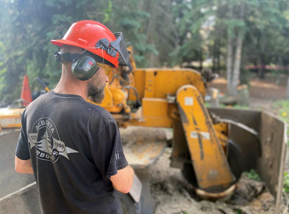 Stump Removal - Stump Grinding - Edmonton Tree Services, Alberta ...