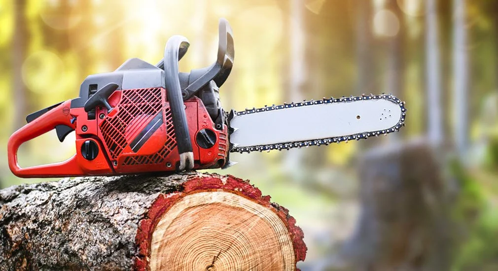 The Importance of Hiring Certified Arborists for Your Tree Care Needs