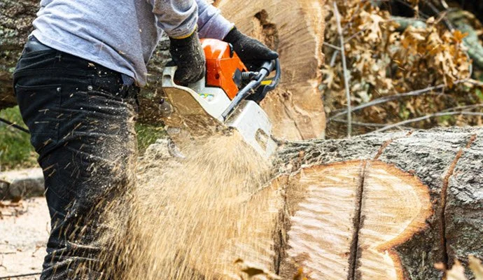 Tree Removal - Toolbox & Process — Tree Removal & Tree Services ...