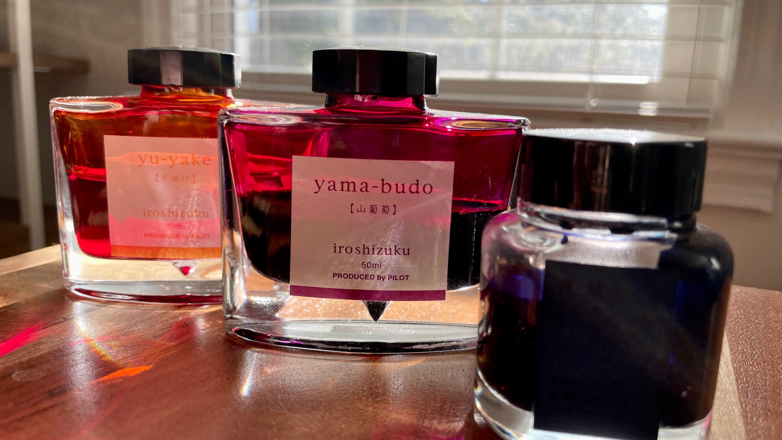 The nafety for safety: Three new no nonsense pens and inks for my currently inked