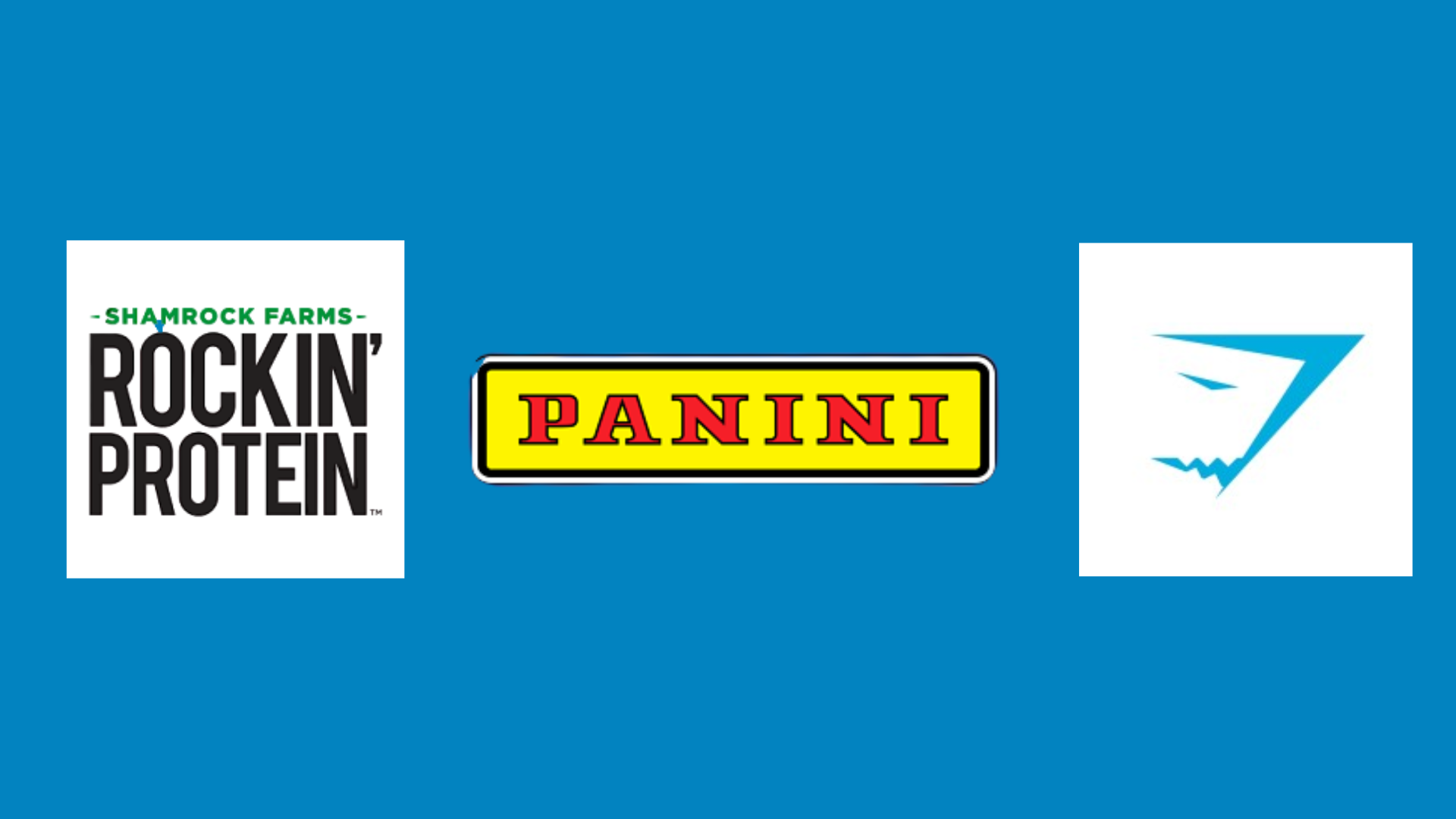 TEAM Lammi websites-2.png