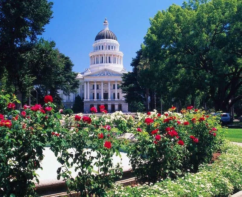 High Water Victorians, Roosevelt Corner Shops, and Hipster Legos