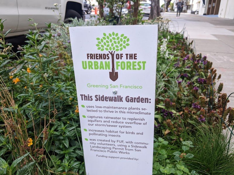 Friends of the Urban Forest
