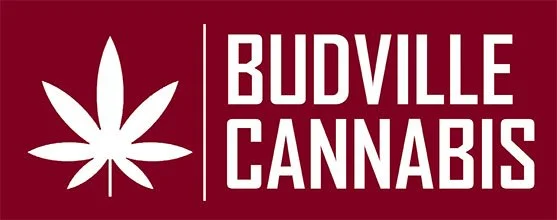 Budville-logo.jpeg