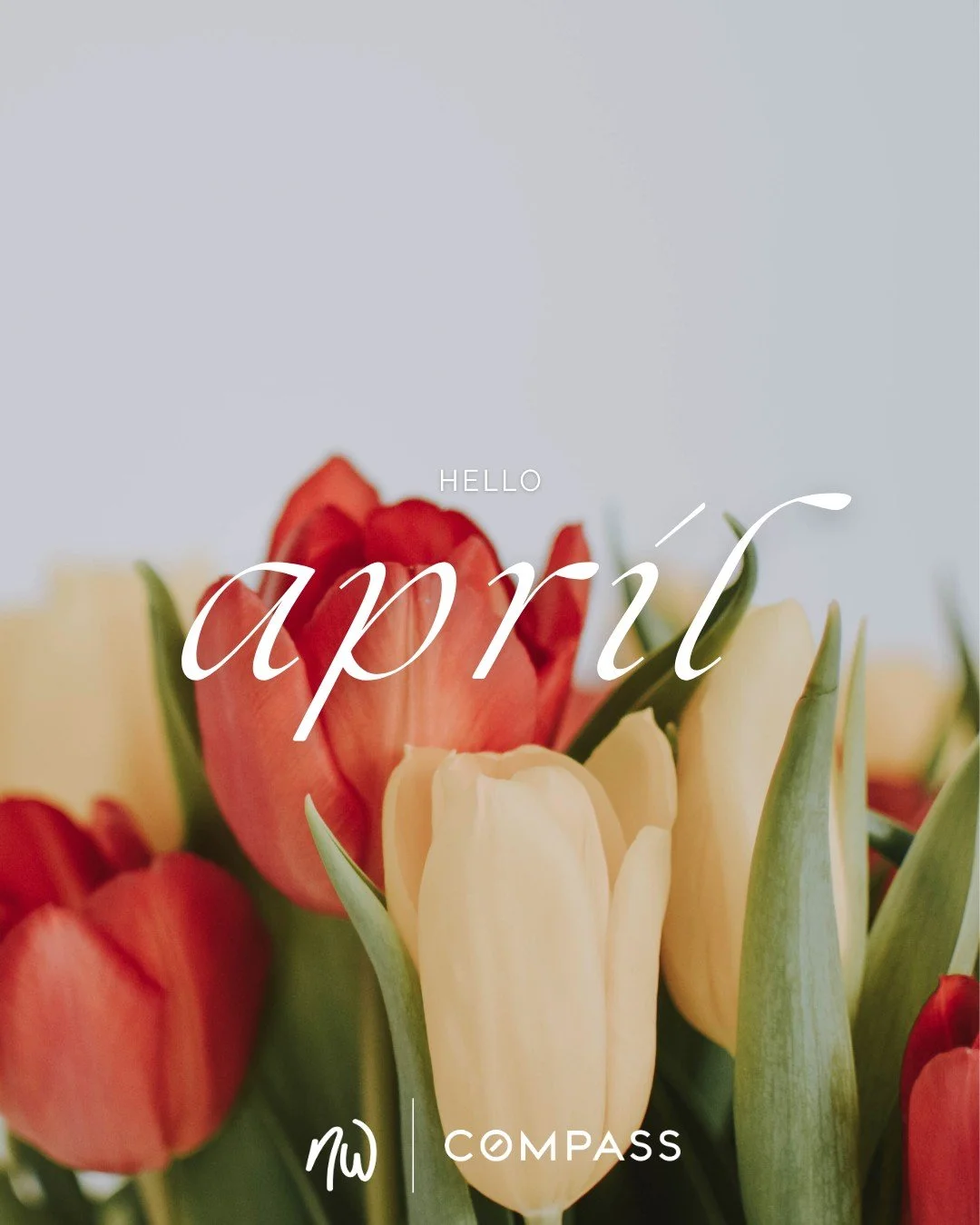 Hello, April 🌷

A new month, a fresh chapter, and so many possibilities ahead.
Spring is in full swing, the days are getting longer, and the market is heating up 🔥

Whether you're thinking about buying, selling, or just exploring your options&mdash