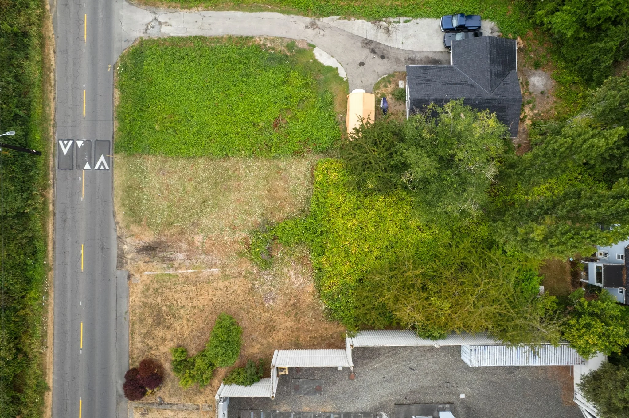 DJI_0781.jpg