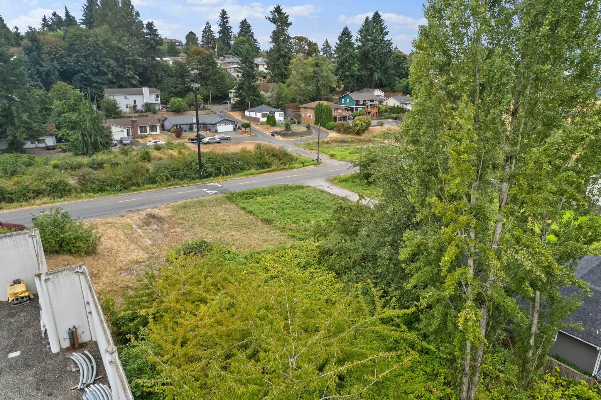 DJI_0784.jpg