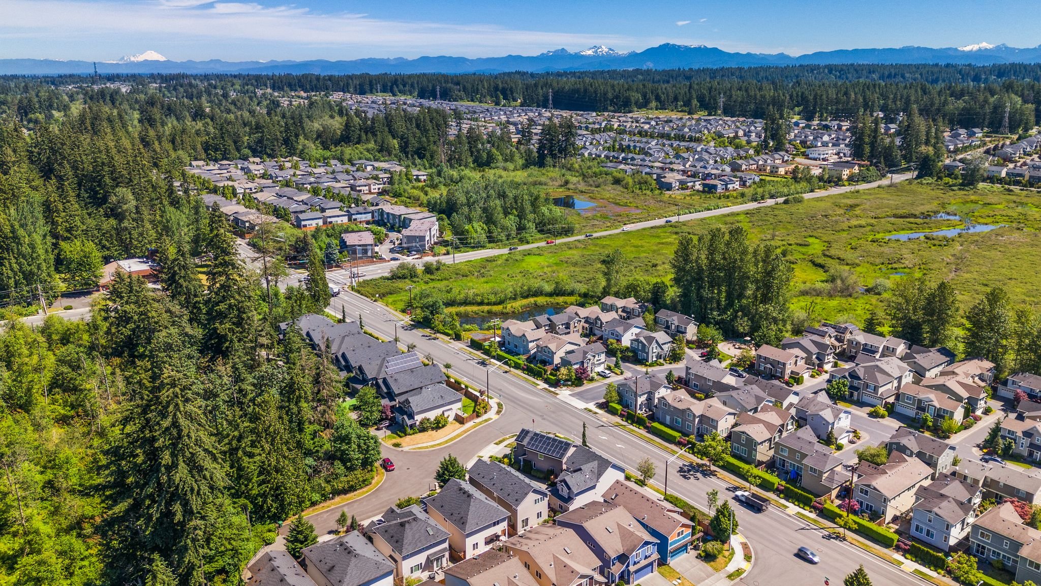 49_DJI_20240625111329_0093_D.jpg